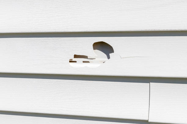 Siding Removal and Disposal in North El Monte, CA